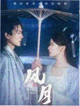 少帅 电视剧 幽禁岁月